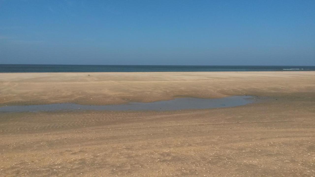 Vitamin Sea Heemskerk Exteriér fotografie