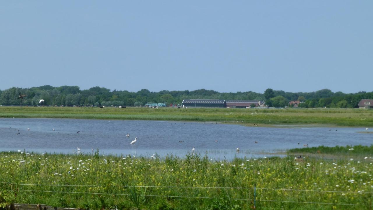 Vitamin Sea Heemskerk Exteriér fotografie